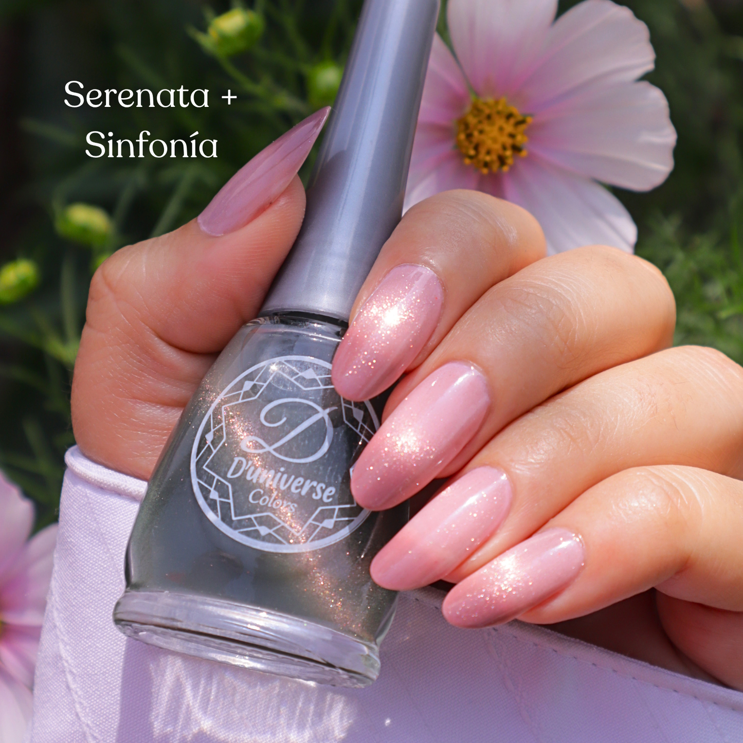 Kit madres D'universe 2026